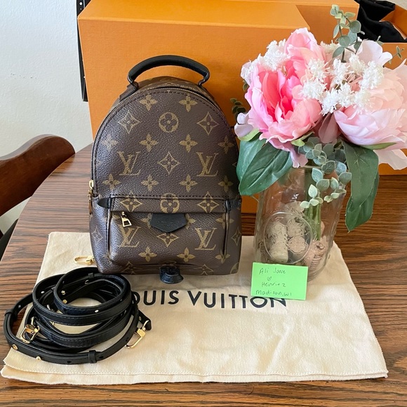 lv palm springs mini monogram